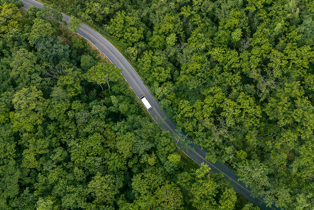 Aerial view of a vehicle driving through a green forest