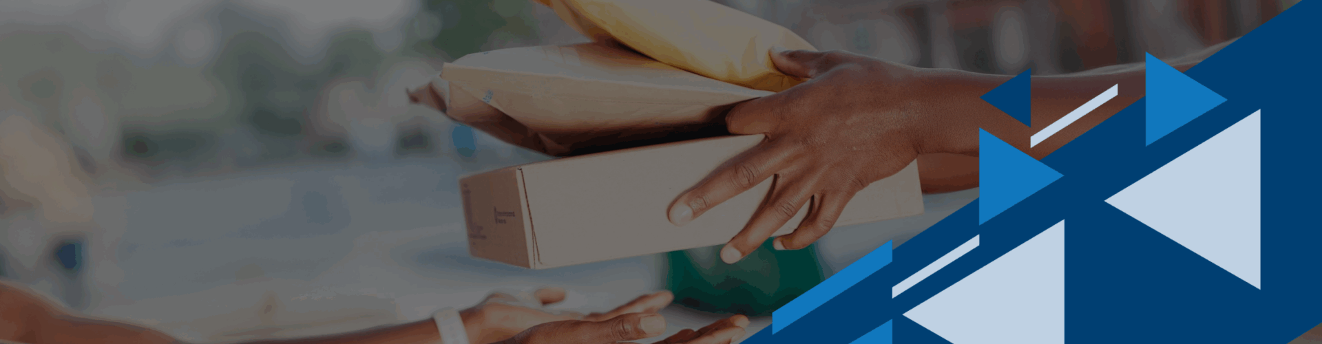 TFS Courier service