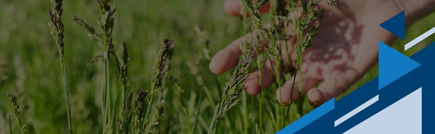 Takealot Fulfilment Solutions sustainability